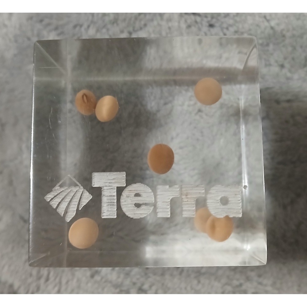 Vintage Terra Industries Acrylic Cube Paperweight Soybeans Agriculture Promo 2in
